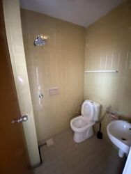 The Cairnhill (D9), Condominium #596520831